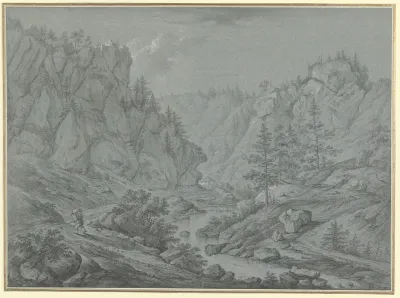 Felsiges Tal Mit Hohen Tannen Martinet De Roches