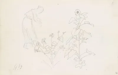 Female Figure And Plant Studies