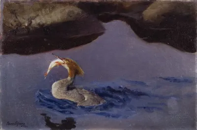 Female Merganser
