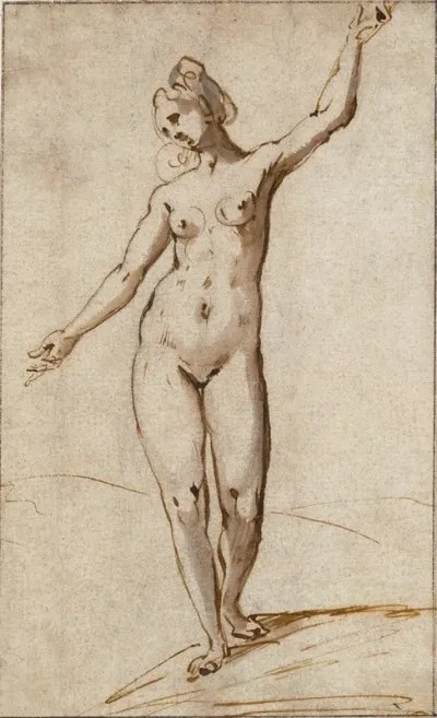 Female Nude 16