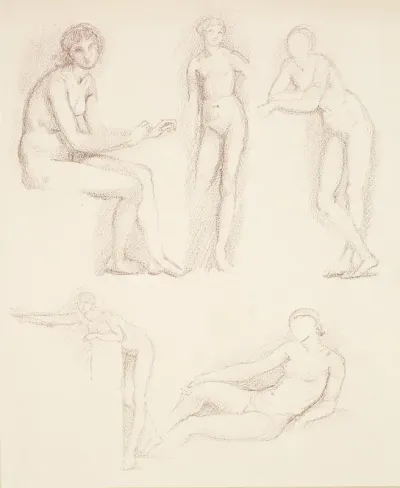 Female Nude Five Studies