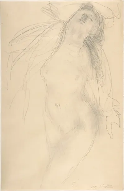 Female Nude Reclining