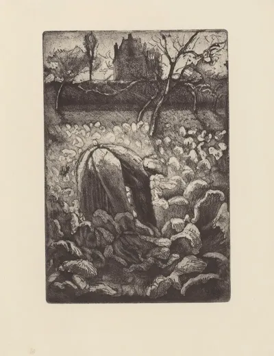 Femme Dans Un Potager
