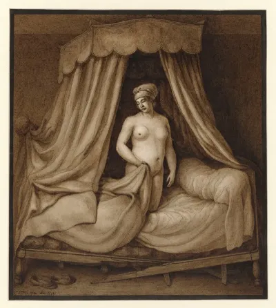 Femme Nue Dans Un Lit Brise