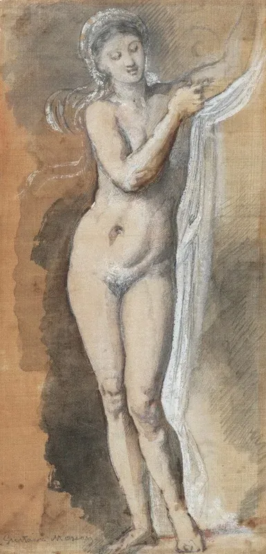 Femme Nue Etude Avec Drap