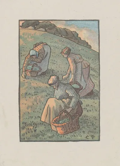 Femmes Cueillant De Lherbe