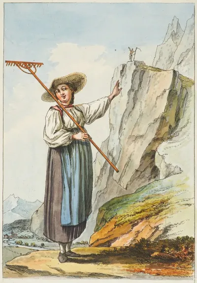 Feneuse Des Montagnes Doberhasli Canton De Berne