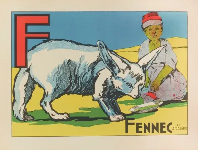 Fennec Des Arabes