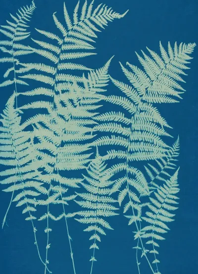 Ferns Of Huntington Long Island Pl 03