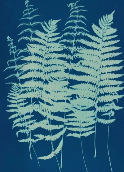 Ferns Of Huntington Long Island Pl 07