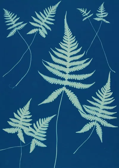 Ferns Of Huntington Long Island Pl 15