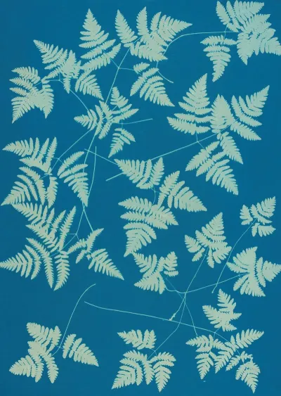 Ferns Of Huntington Long Island Pl 16