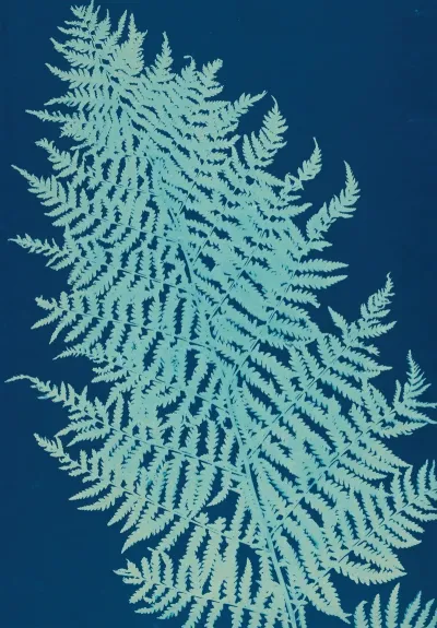 Ferns Of Huntington Long Island Pl 28