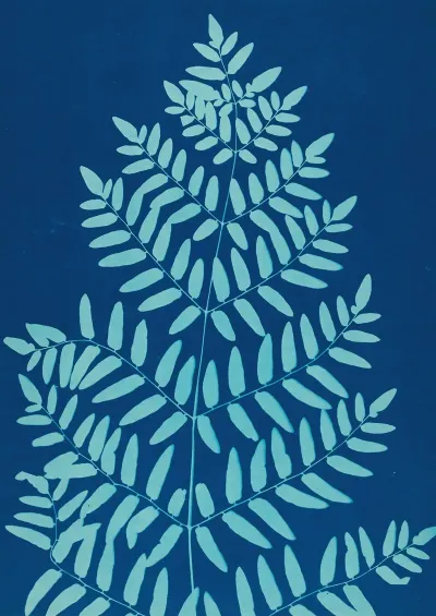 Ferns Of Huntington Long Island Pl 33