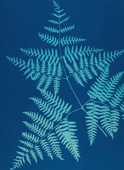 Ferns Of Huntington Long Island Pl 38