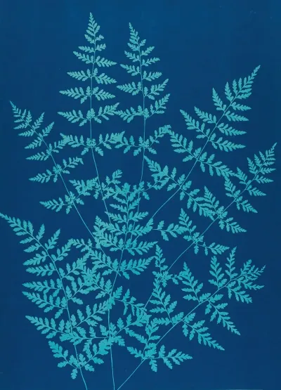 Ferns Of Huntington Long Island Pl 40
