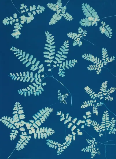 Ferns Of Huntington Long Island Pl 42