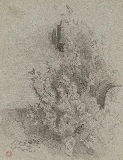 Feuillage 2