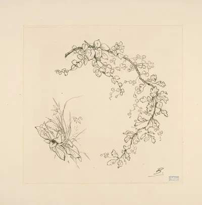Feuille De Chene