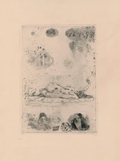 Feuille De Nenuphar