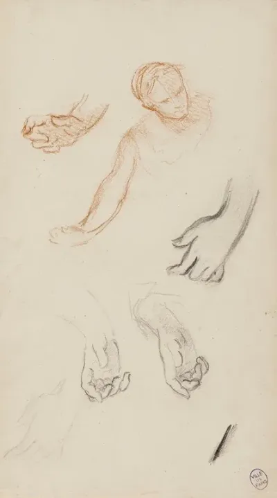 Feuille Detude