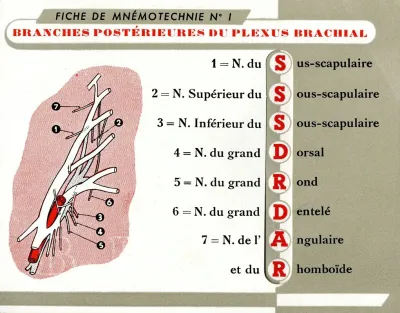 Fiche De Mnemotechnie No 1
