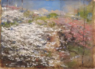 Field Of Blossoms
