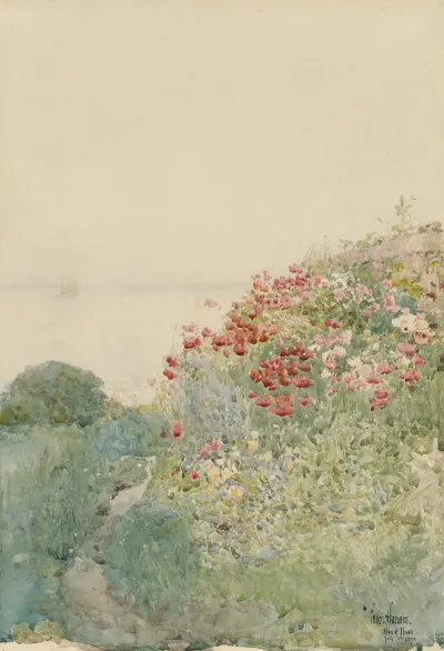 Field Of Poppies Isles Of Shoals
