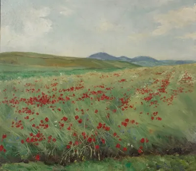 Field Of Poppies