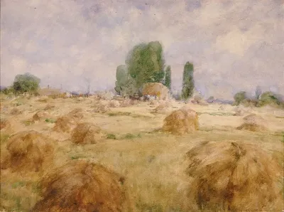 Field Of Wheat Shock
