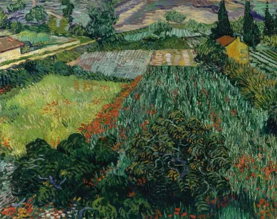 Field With Poppies