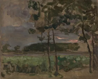 Field With Young Trees In The Foreground