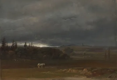 Fields Near Dresden With A White Horse