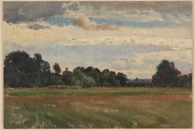 Fields Near Trzebnica