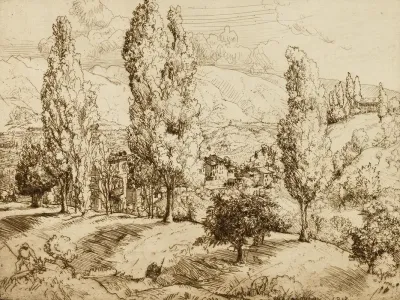 Fields Of Asolo