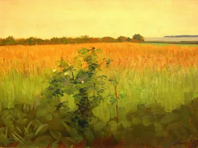 Fields