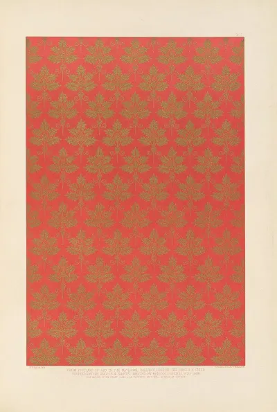 Fifteenth Century Italian Ornament Pl 08