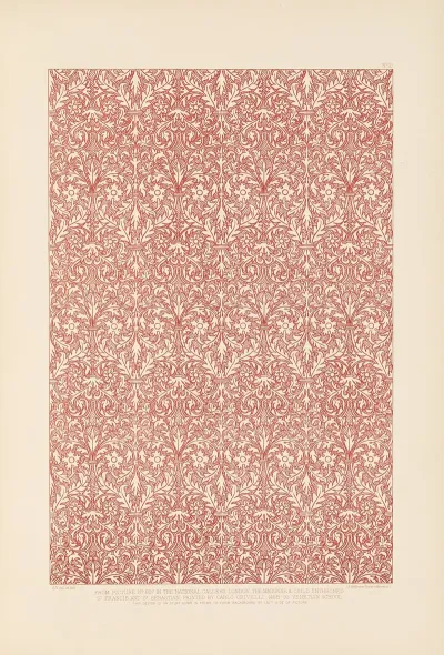 Fifteenth Century Italian Ornament Pl 10