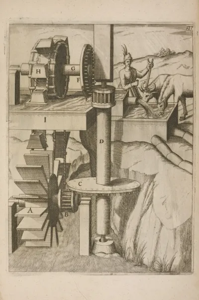 Fig Cxxxvii Haustrum Per Utres