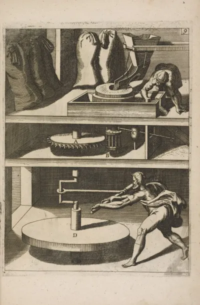 Fig Ix Chiromylos Frumentarius