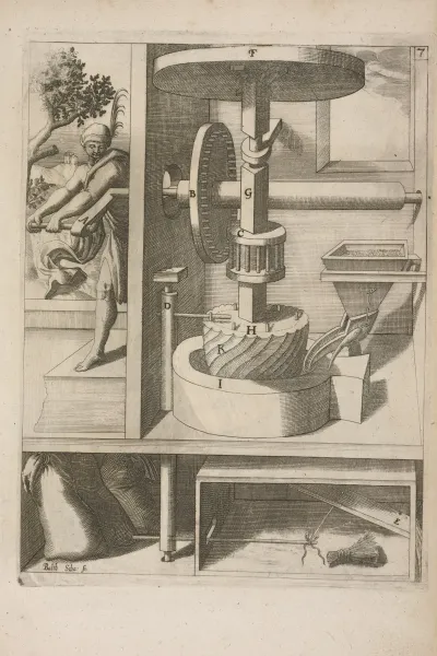 Fig Vii Chiromylos Aromaticus