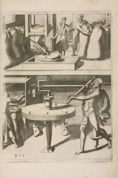 Fig Viii Chiromylos Frumentarius