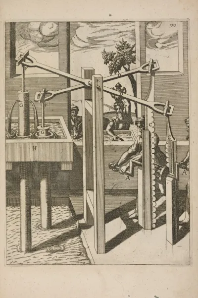 Fig Xc Antlergon Duplex
