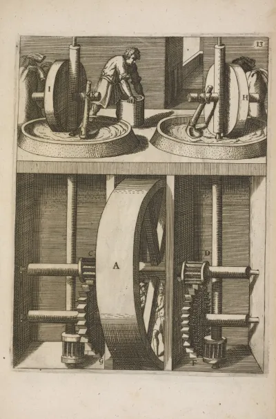 Fig Xiii Pateomylos Adoleum Lino Exprimendum