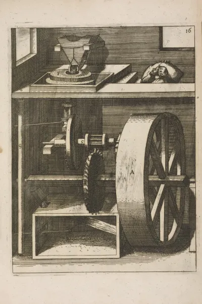 Fig Xvi Pateomylos Frumentarius
