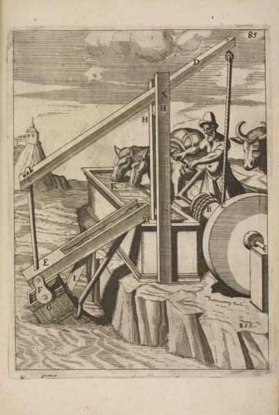 Fig Xxcv Haustrum