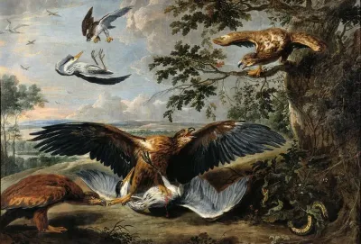 Fight Between Eagles