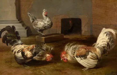 Fighting Cocks