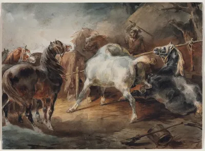 Fighting Horses