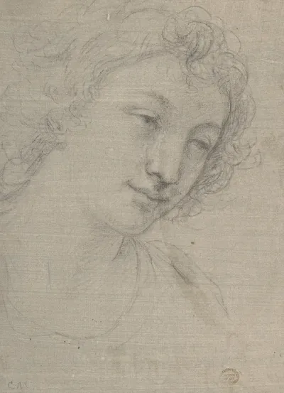 Figure Of Young Man Or Woman In Bust Length In Three Quarter View